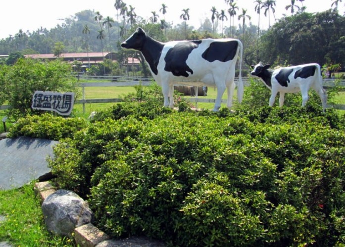 中埔農場旅遊 中埔農場旅遊
