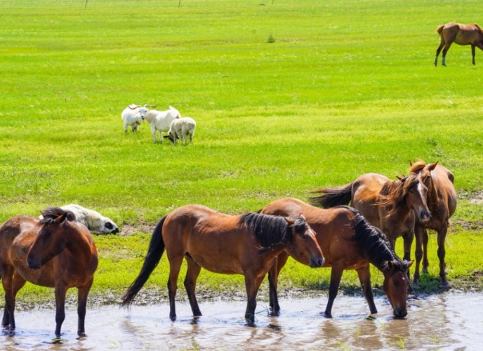 新竹無障礙旅遊