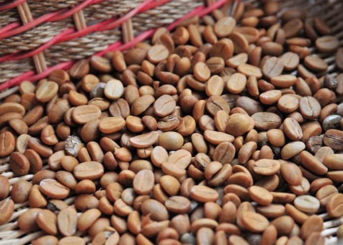 台灣咖啡產銷班