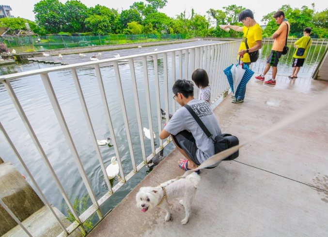 寵物友善溫泉礁溪