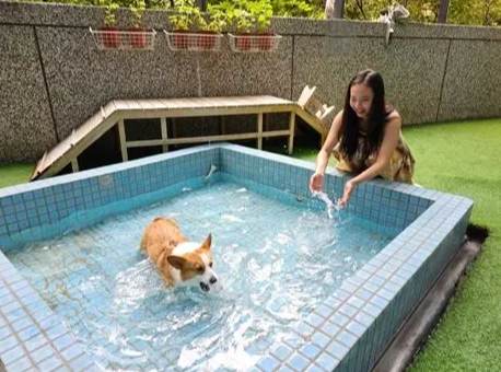 寵物友善溫泉礁溪