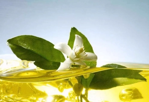 橙花護膚 橙花護膚