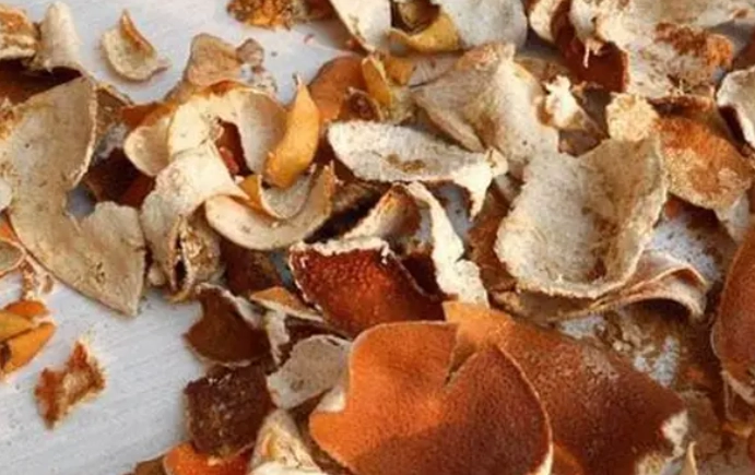 陳皮食用方法 陳皮食用方法