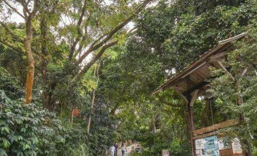 東山美食餐廳 東山美食餐廳