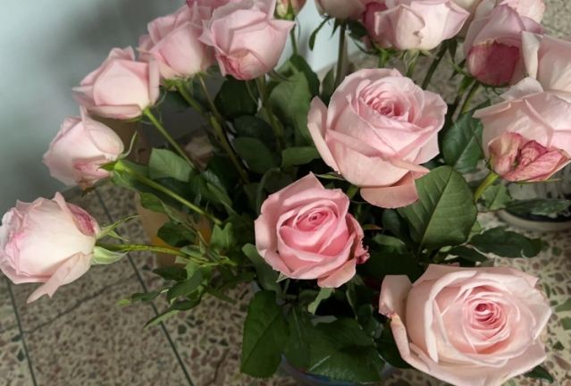 玫瑰花美容功效