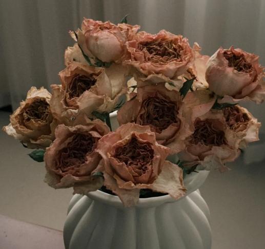 玫瑰花保存技巧