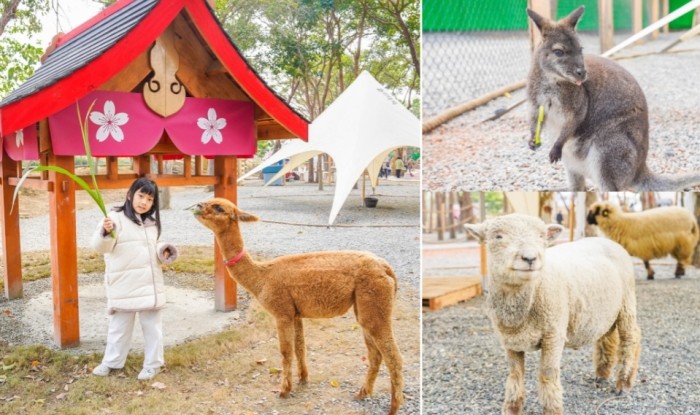 中埔農場活動 中埔農場活動