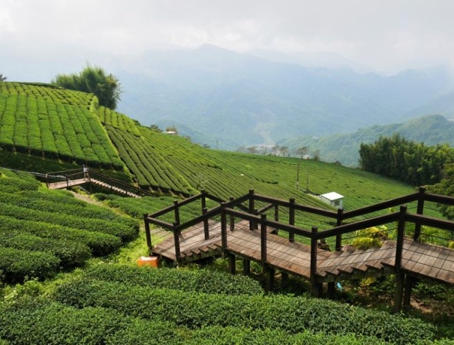 石棹步道建議路線：完整徒步攻略與路線規劃指南