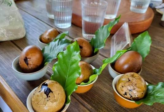 東山咖啡體驗 東山咖啡體驗