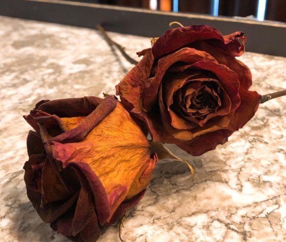 玫瑰花保存技巧