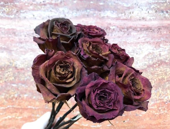 玫瑰花乾燥花製作