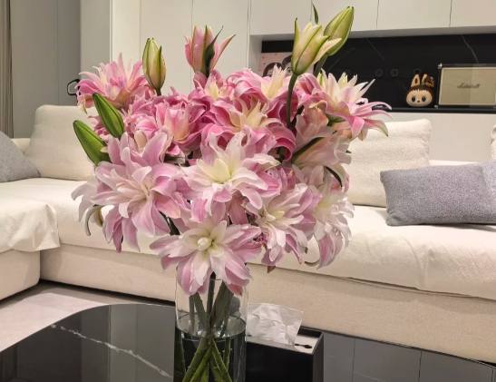 百合花開花時間