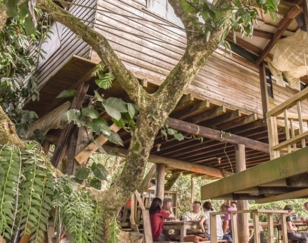 台灣咖啡旅遊 台灣咖啡旅遊