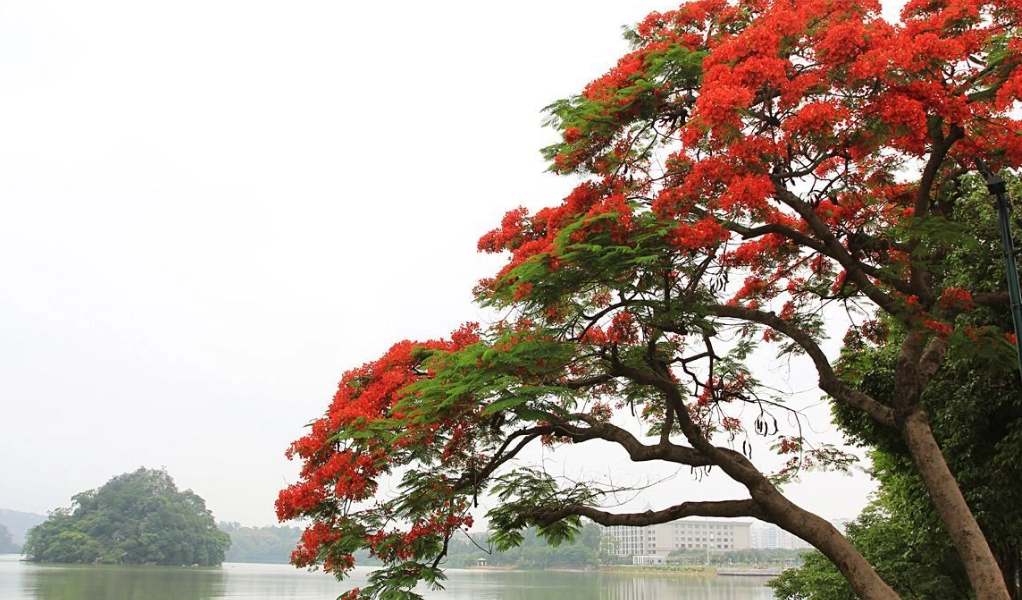 畢業季活動規劃