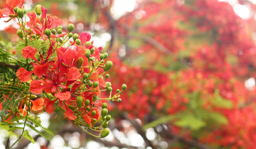 畢業季活動規劃