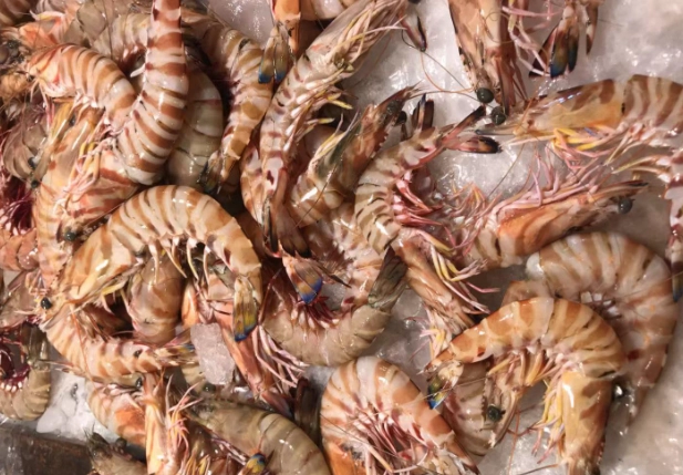 冷凍蝦水煮時間