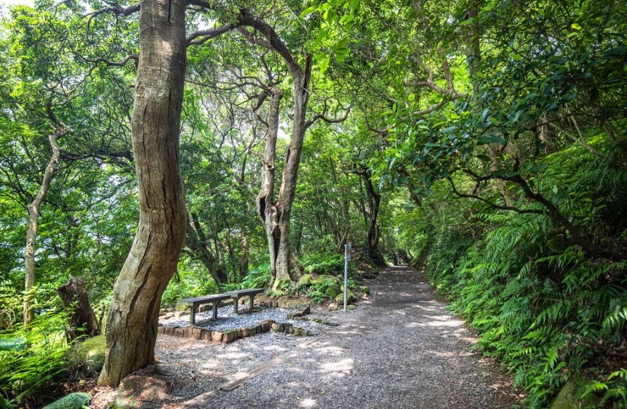 天母古道停車資訊