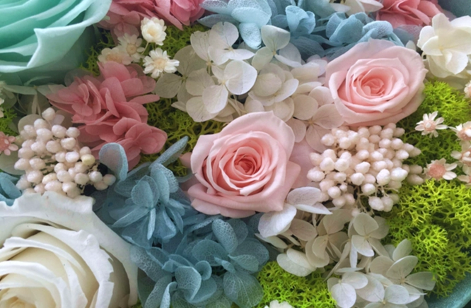 永生花擺放風水 永生花擺放風水