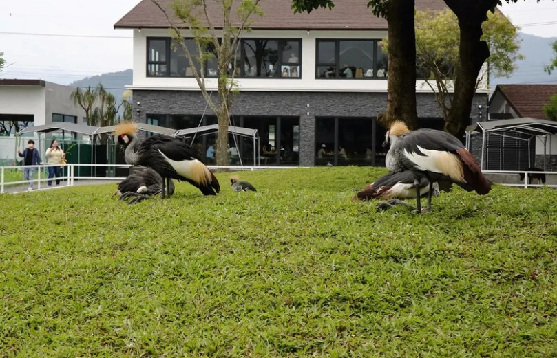 宜蘭農場周邊餐廳
