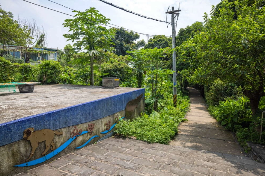 天母古道交通方式