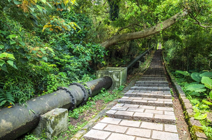 親山步道停車攻略