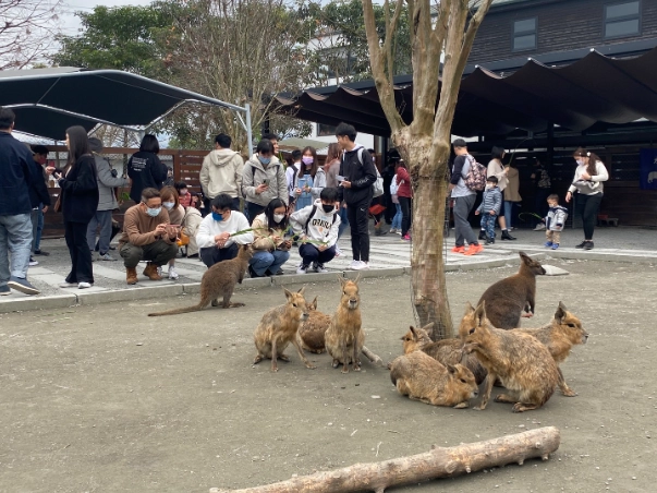 宜蘭農場周邊旅遊