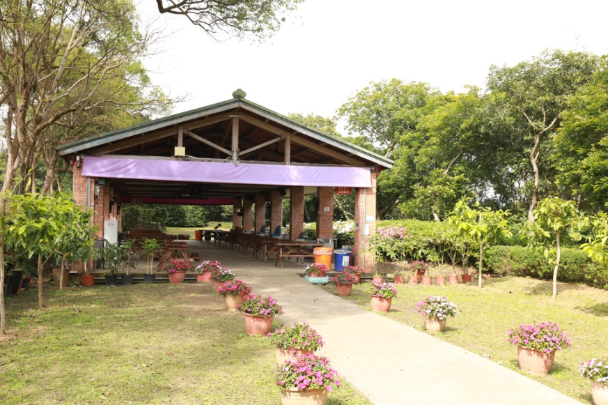 文山農場露營心得