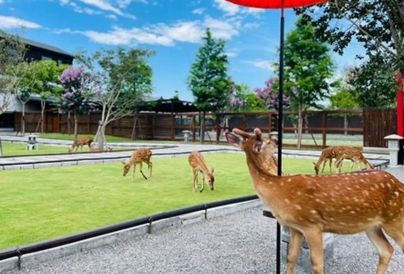 張美阿嬤農場美食推薦