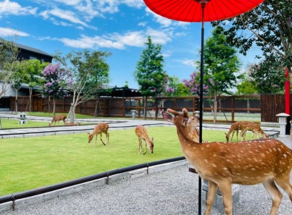 宜蘭農場周邊旅遊