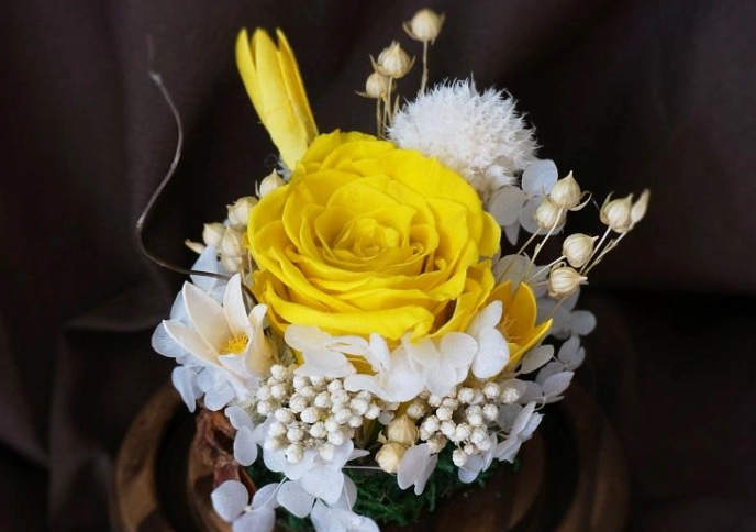 永生花保養方法 永生花保養方法