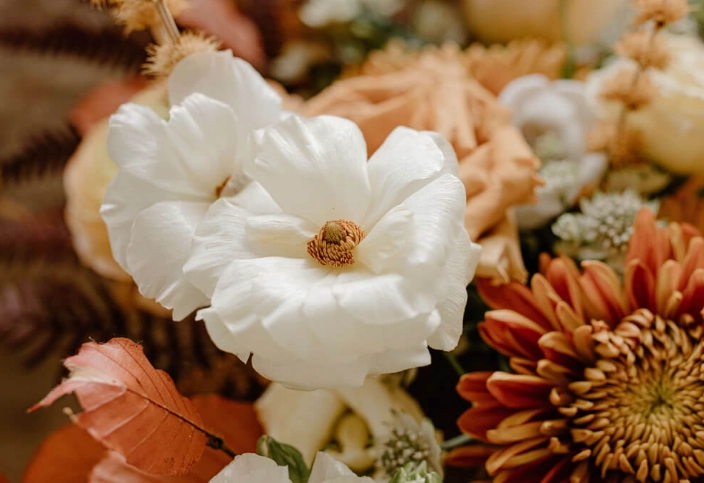 永生花保存方法