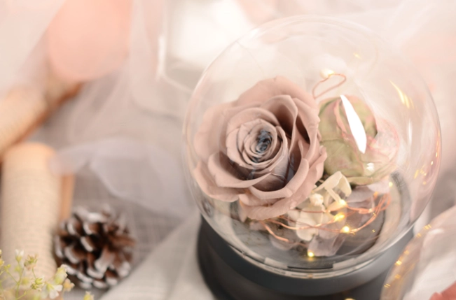 永生花保存方法