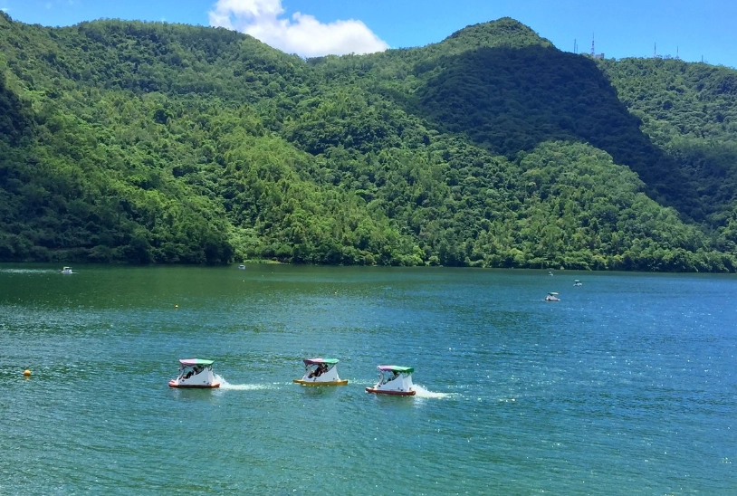 花蓮壽豐鄉美食