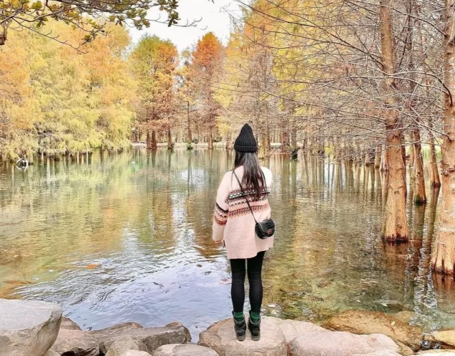 花蓮壽豐鄉美食