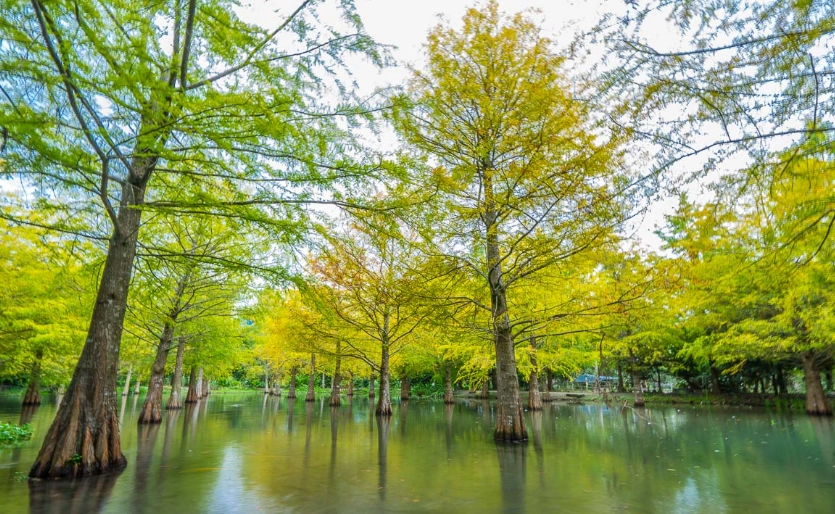 花蓮壽豐鄉景點