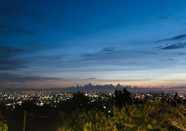 田尾公路花園夜景