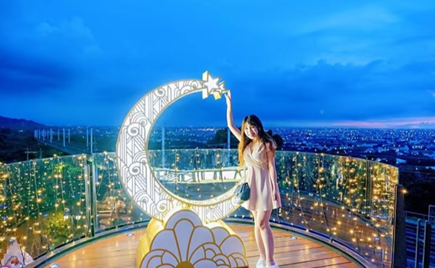 田尾公路花園夜景