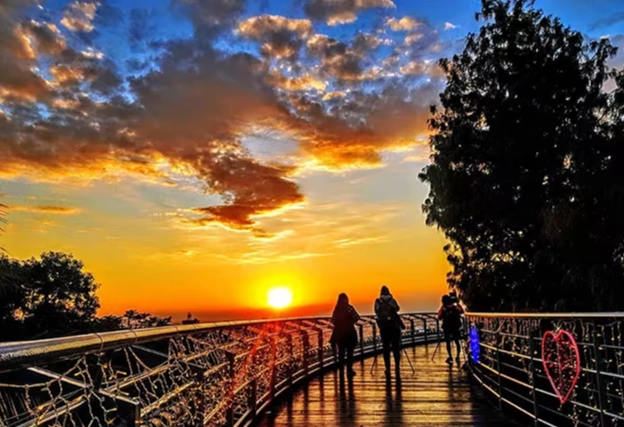 彰化夜景約會 彰化夜景約會