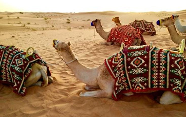 伊朗跟團旅遊 伊朗跟團旅遊