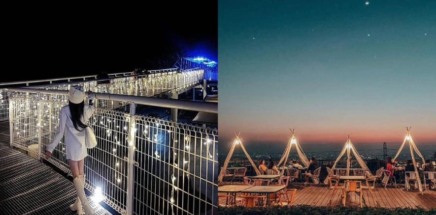 田尾公路花園夜景