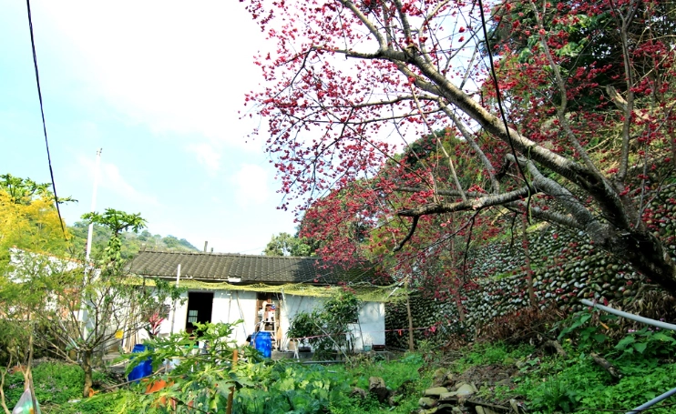 員林一日遊行程