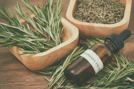 迷迭香精油抗痘 迷迭香精油抗痘