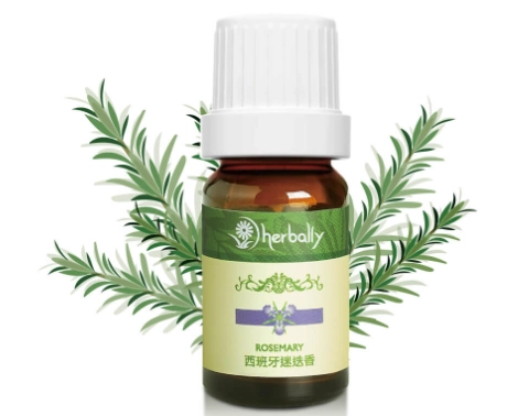 迷迭香精油生髮