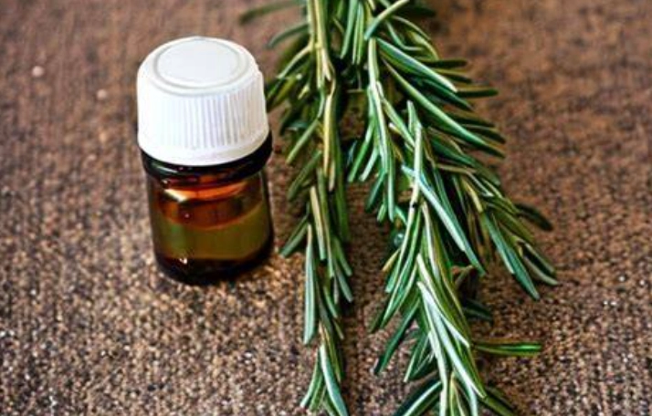 迷迭香精油好處 迷迭香精油好處