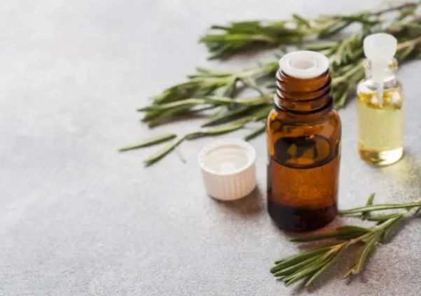迷迭香精油功效