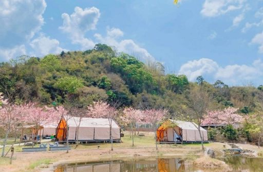 台灣露營 台灣露營