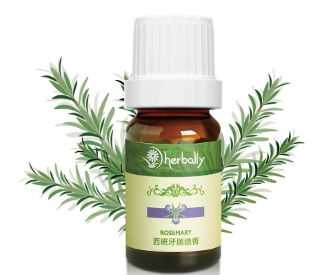迷迭香精油功效