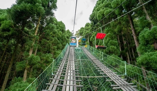 高尾山交通資訊 高尾山交通資訊