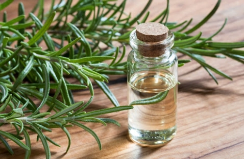 迷迭香精油頭皮屑