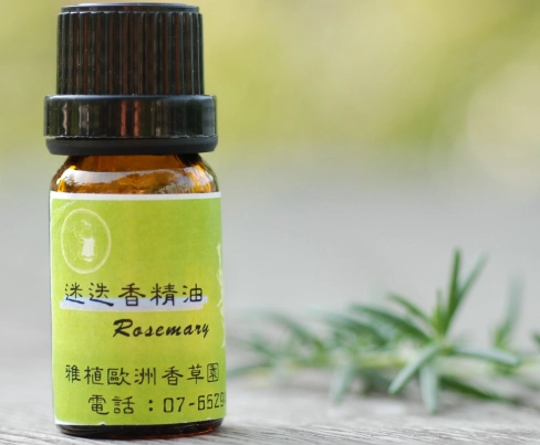 迷迭香精油功效 迷迭香精油功效